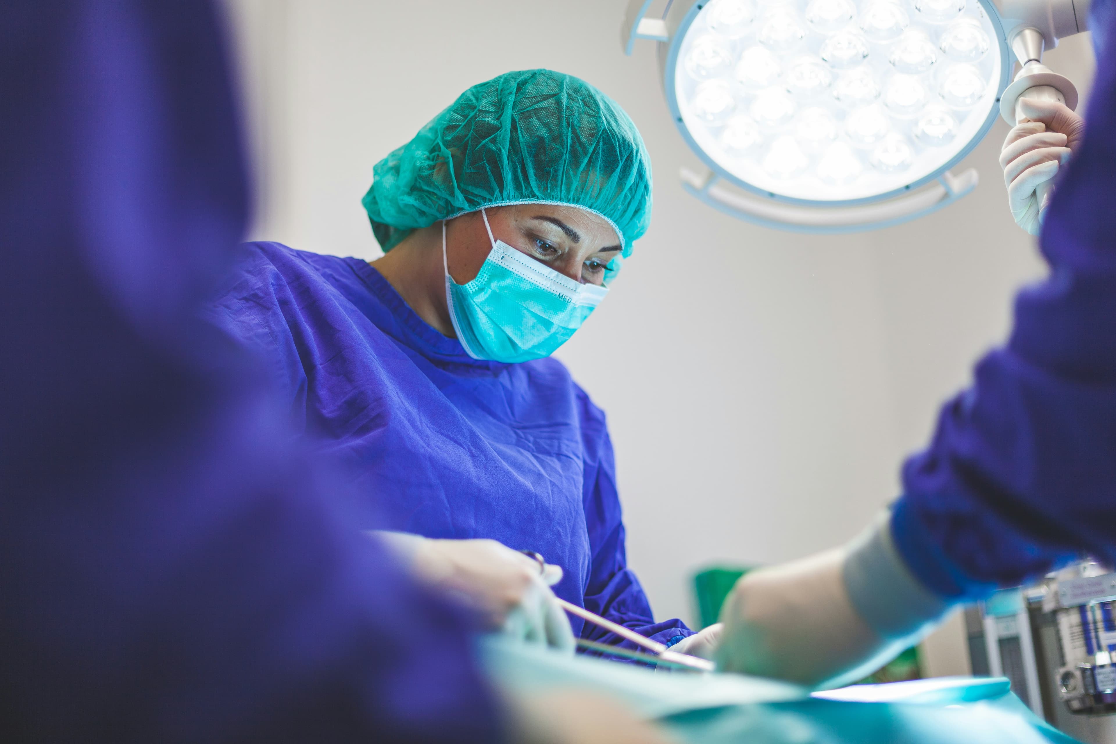 Dental service image 4